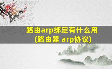 路由arp绑定有什么用(路由器 arp协议)